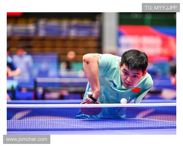 杭州乒乓球队转型之路的挑战与机遇全景透视