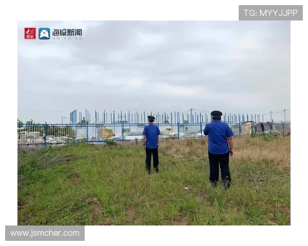 武汉飞盘队的阵地战解析与发展趋势探讨