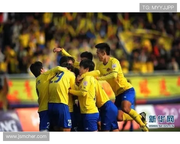 北京乒乓球队团队协作的创新变革与热议分析